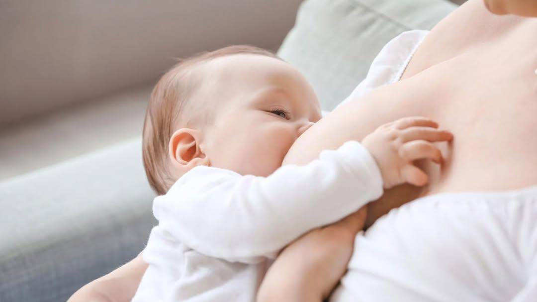 Amamentar: um ato de amor que precisa de apoio